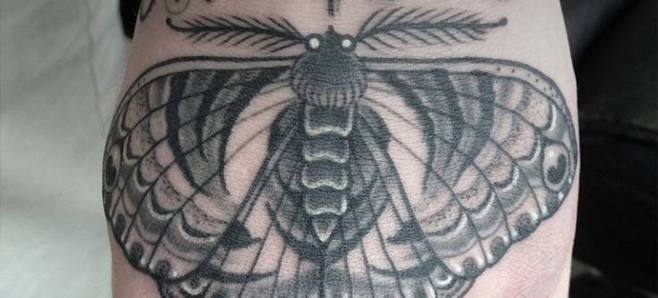 black and grey moth tattoo