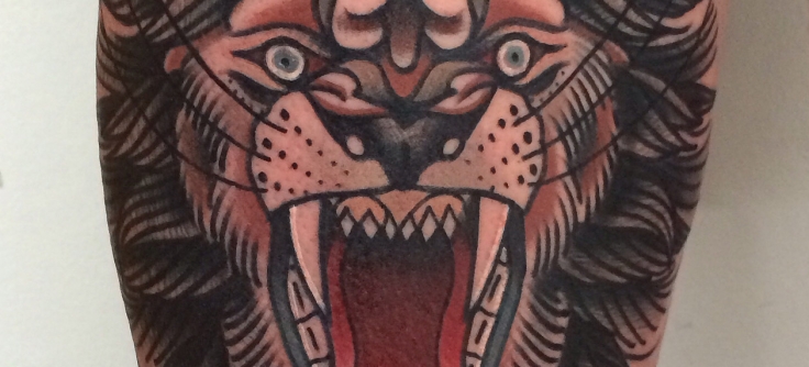 Finally got to finish this lion Tattoo by Matt mattfink73 tattoo tattoos  tattooed northsidetattoos delawaretattoo  Instagram